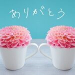「感謝してもしきれない」の意味・使い方と例文・敬語表現
