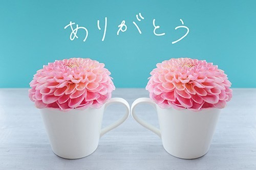 「感謝してもしきれない」の意味・使い方と例文・敬語表現