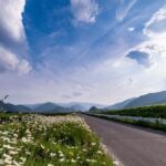 「陽だまり」の意味と使い方の例文｜類語/反対語/季語