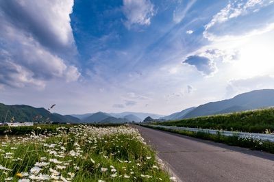 「陽だまり」の意味と使い方の例文｜類語/反対語/季語
