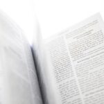 偏見の意味と使い方の例文3つを説明！偏見と似た言葉とそれぞれの違い
