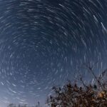「星が綺麗ですね」の意味と由来は？状況に合わせた返し方も紹介！