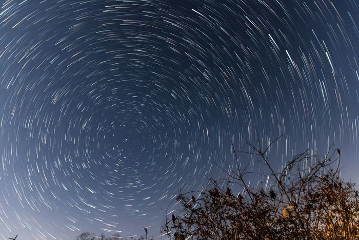 「星が綺麗ですね」の意味と由来は？状況に合わせた返し方も紹介！