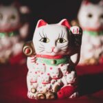 幸運を呼ぶ猫の名前をジャンル別に紹介！名前の決め方のポイントも
