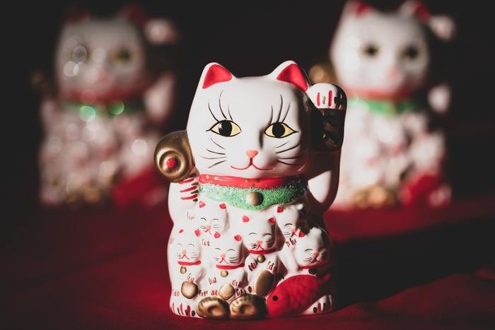幸運を呼ぶ猫の名前をジャンル別に紹介！名前の決め方のポイントも