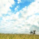 「癒しが欲しい」と感じる心理とは？状況に応じた解消法も解説