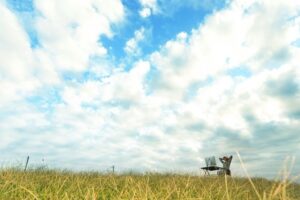 「癒しが欲しい」と感じる心理とは？状況に応じた解消法も解説