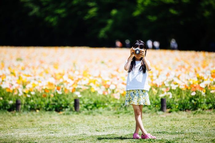 花の名前でかわいいものは?咲く季節ごとに名付けの例を紹介