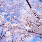 幸せを願う四字熟語とは？意味や正しい使い方について徹底解説
