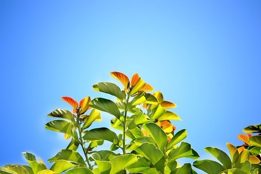 大概とは？7つの意味と使い方知ってる？「君も大概だな」って言われたら？