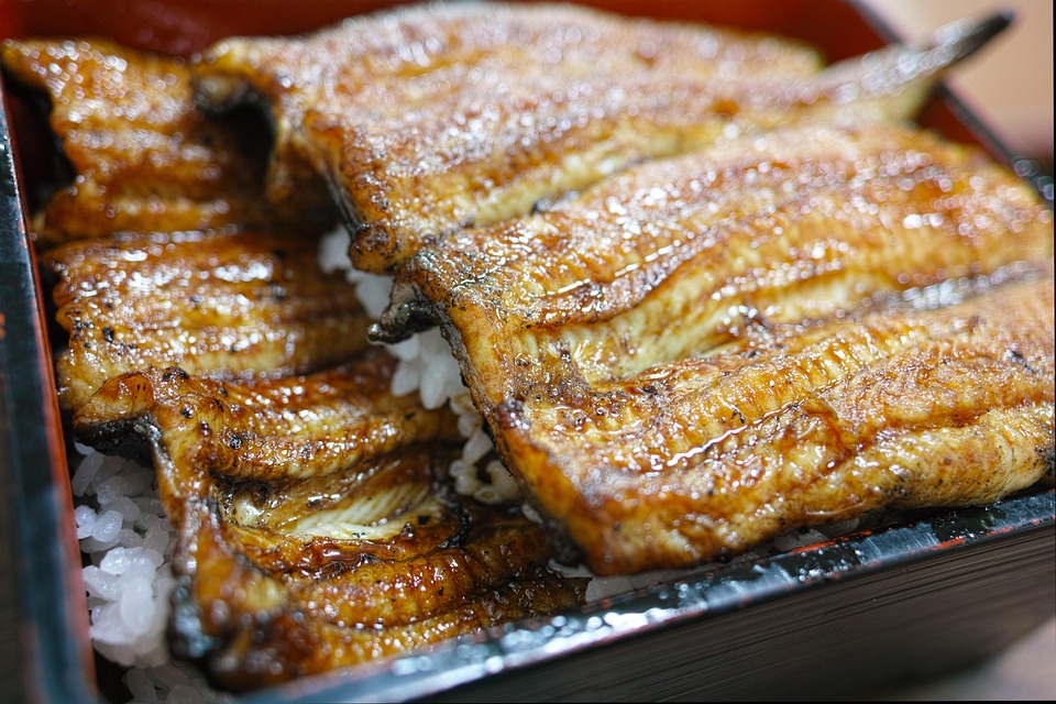 うな重とうな丼の違い・せいろ蒸し・ひつまぶしとの違い