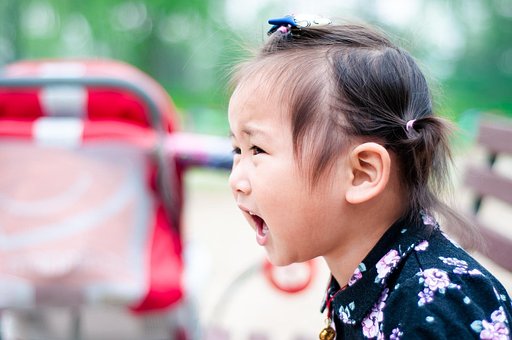 「かつをいれる」の正しい漢字と意味は？例文や英語表現もあわせて紹介