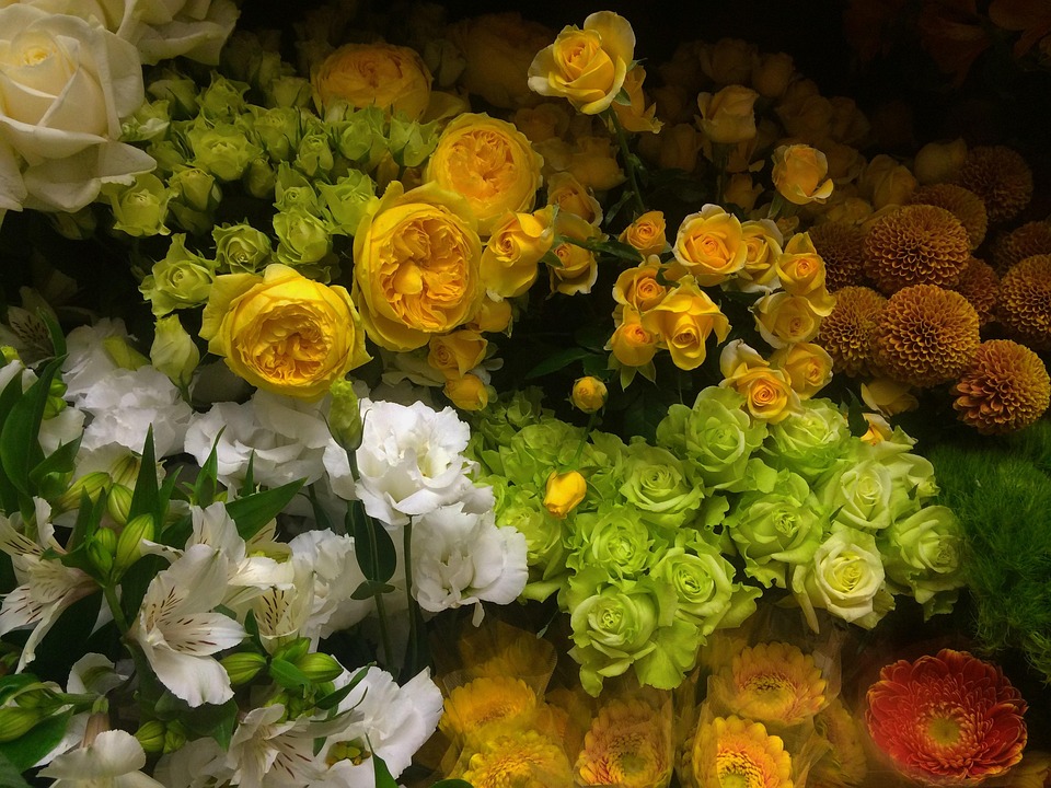 本数によって意味も違う？緑の薔薇の花言葉・由来